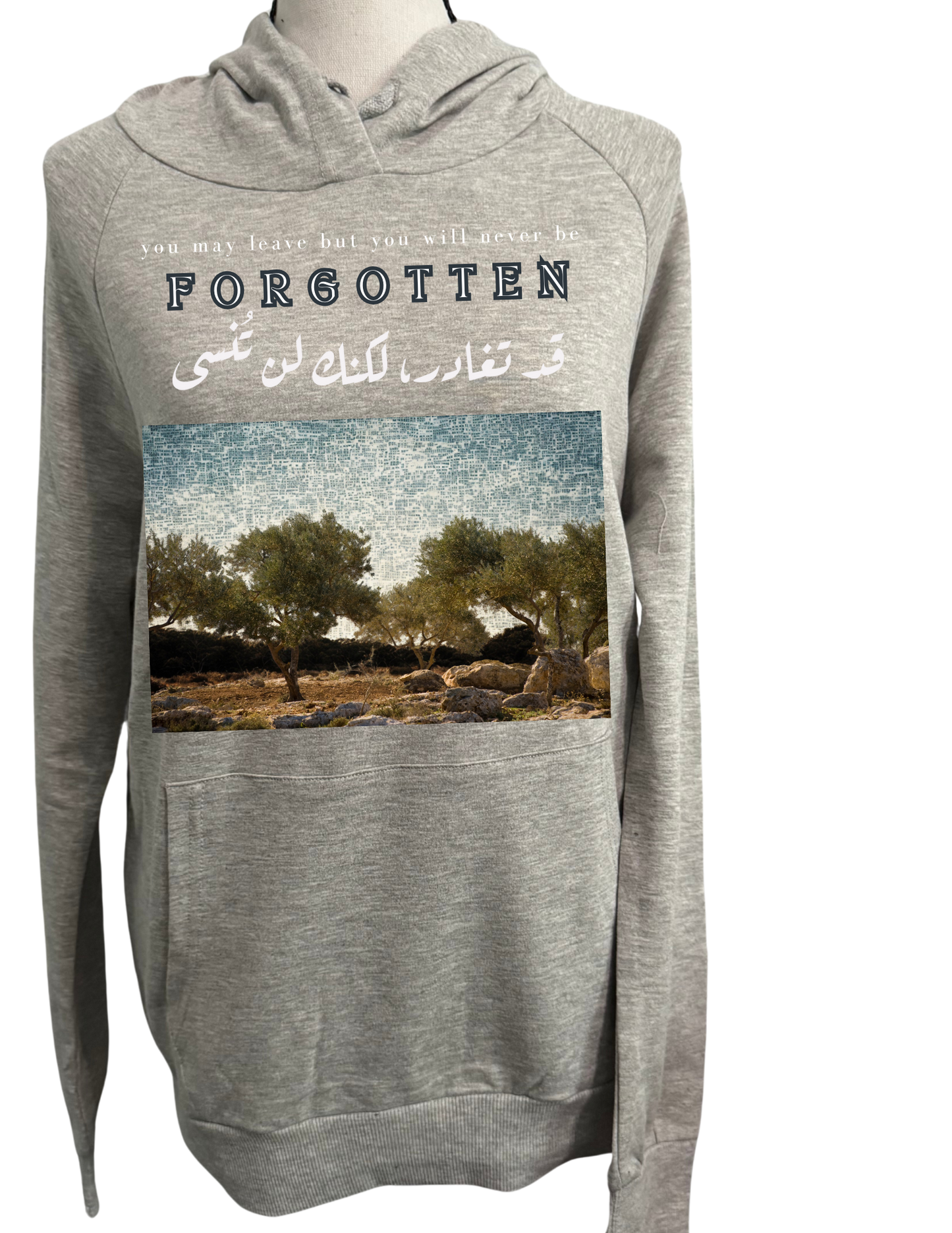 fORGOTTEN HOODIE