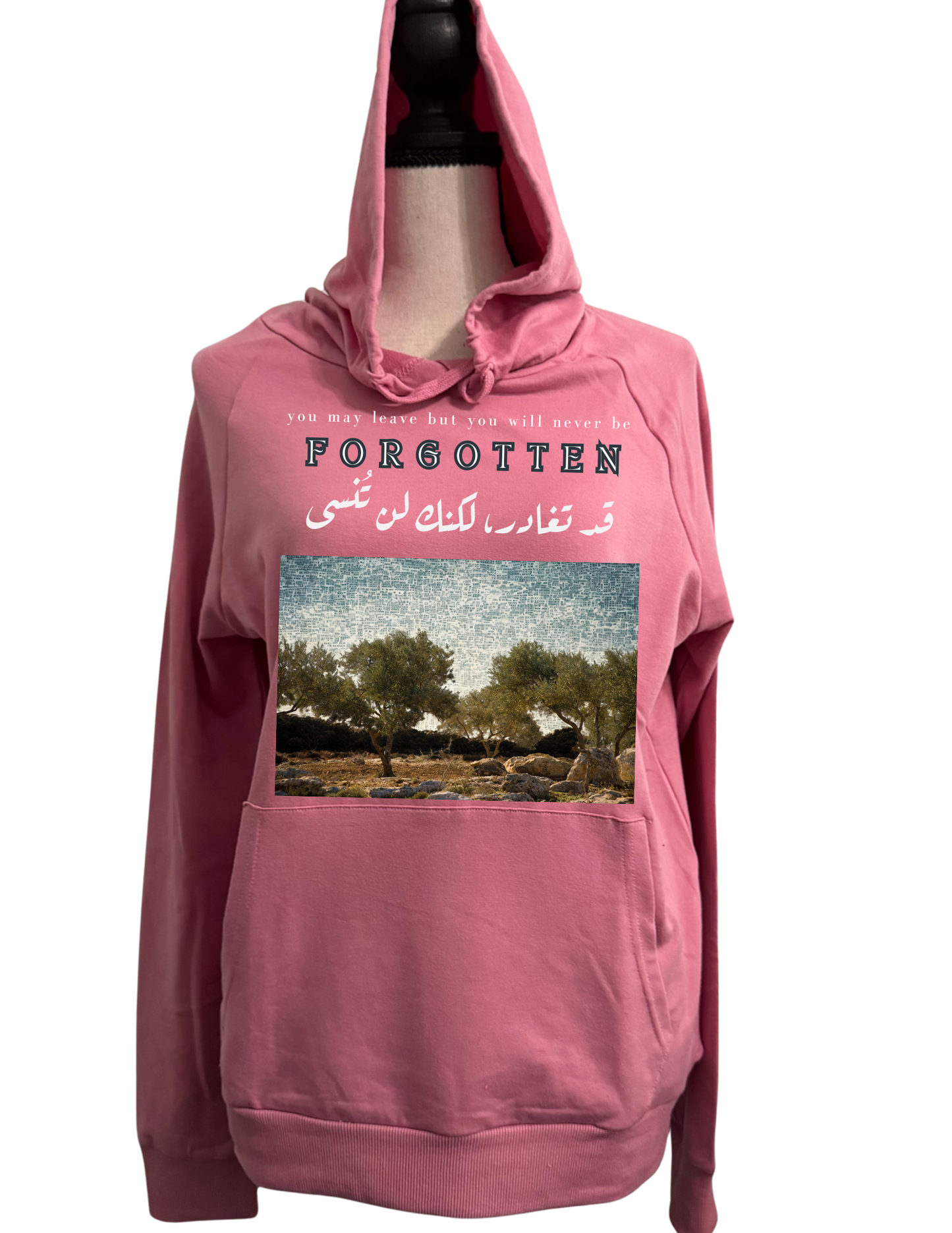 fORGOTTEN HOODIE