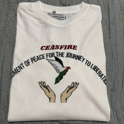 CEASEFIRE THE JOURNEY OF LIBERATION